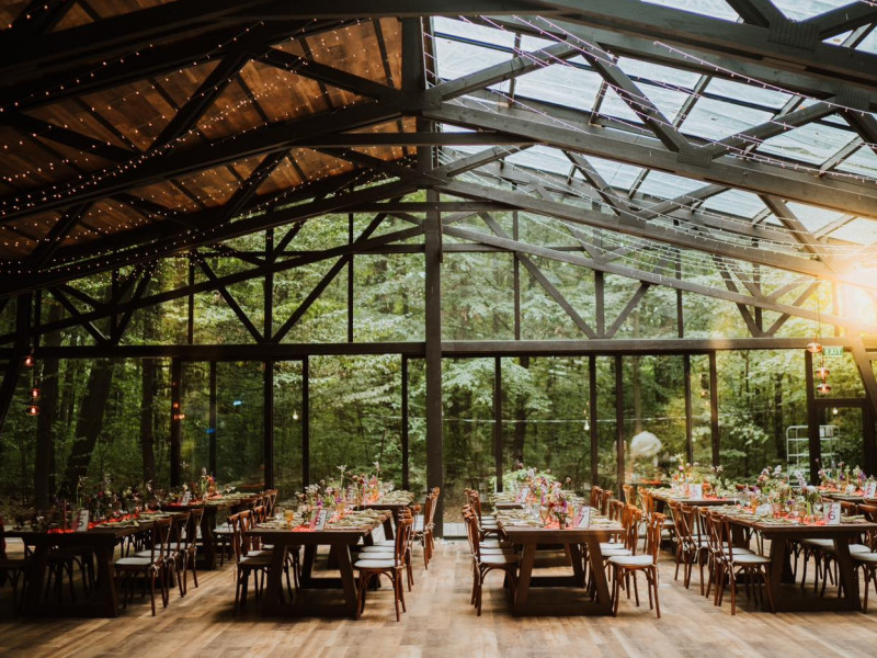 treehouse