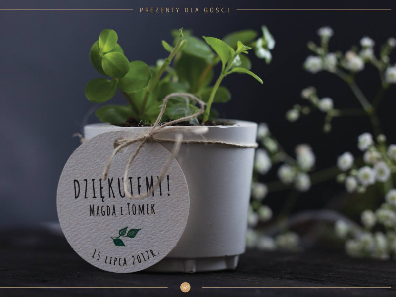 wedding-lab-decorations